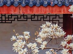 -堤角公园