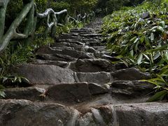 -梧桐山风景名胜区