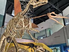 -湖南省地质博物馆