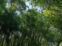 -英西峰林·洞天仙境