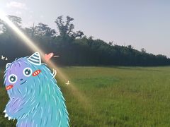 -汉长安城未央宫国家考古遗址公园