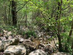 -青峰峡国家森林公园