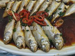 -梅子大排档