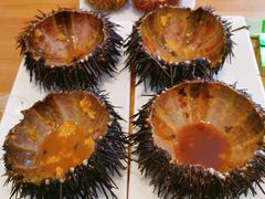 -海胆小馆(东北水饺·春柳店)