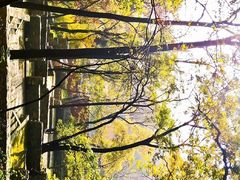 -北京上方山国家森林公园