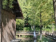 -铭莲·八卦田水上餐厅