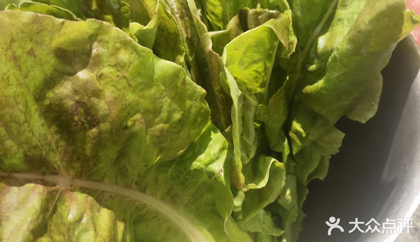 必去的烤肉小店