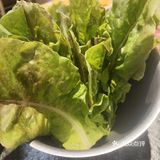 必去的烤肉小店