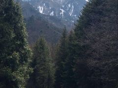 -硗碛藏寨·神木垒景区