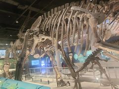 -国家自然博物馆