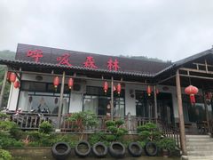 -呼吸森林·生态农庄农家乐私房菜