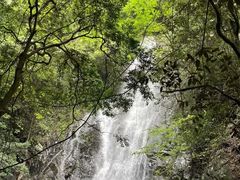 -大余丫山旅游度假区