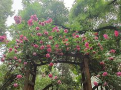 -莫多多餐厅