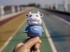 -贡湖湾湿地公园