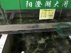 水产区-喜洋洋蟹庄(阳澄湖店)