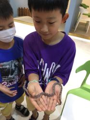 -Moni星球萌宠·小马宝莉·灵蛇·高端高阶全萌宠互动体验俱乐部(红豆国际广场店)