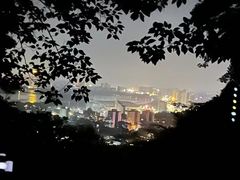 -紫金山山顶公园