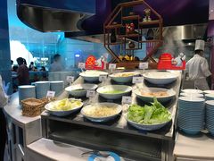 -帝企鹅自助餐厅•儿童岛•真企鹅(长隆企鹅酒店)