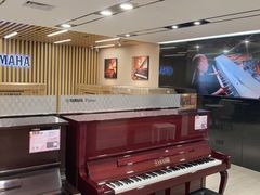 -雅马哈乐器专卖店(广州旗舰店)
