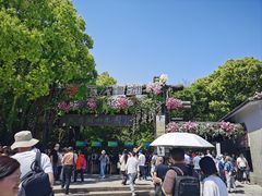 -天目湖山水园