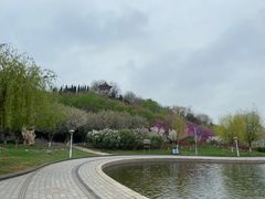 -山东理工大学