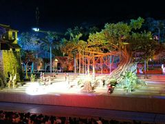 -三亚红色娘子军演艺公园景区
