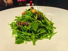 辣木苗拌鸡纵菌-永安鱼庄·镇江菜(东吴路店)