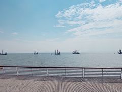 -贡湖湾湿地公园