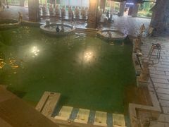 -咸宁万豪温泉谷度假区