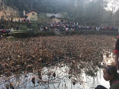 -韶山毛泽东同志故居