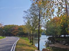 -长春市南湖公园