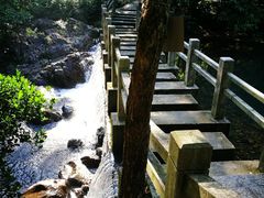 -银瓶嘴森林公园