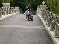 -上海浦江郊野公园-3号停车场