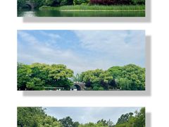 -西湖外事游船(花港观鱼码头)
