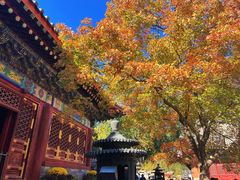 -香山公园