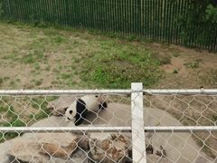 -沈阳森林动物园