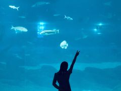 -福州罗源湾海洋世界旅游区