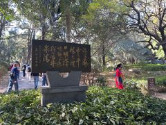 -宋井风景区