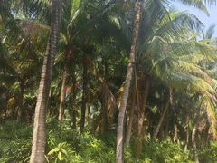 -白沙门生态公园