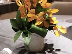 -A One Kitchen·南京精菜馆(德基广场店)