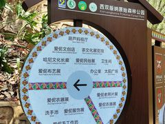 -西双版纳原始森林公园