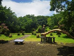 -海口火山口国家地质公园