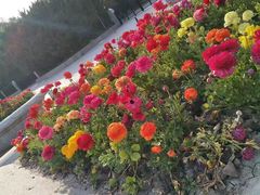 -上海市龙华烈士陵园