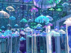 -星空失恋博物馆(北京路旗舰店)