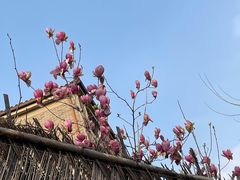 -上海兴国宾馆香樟园西餐厅
