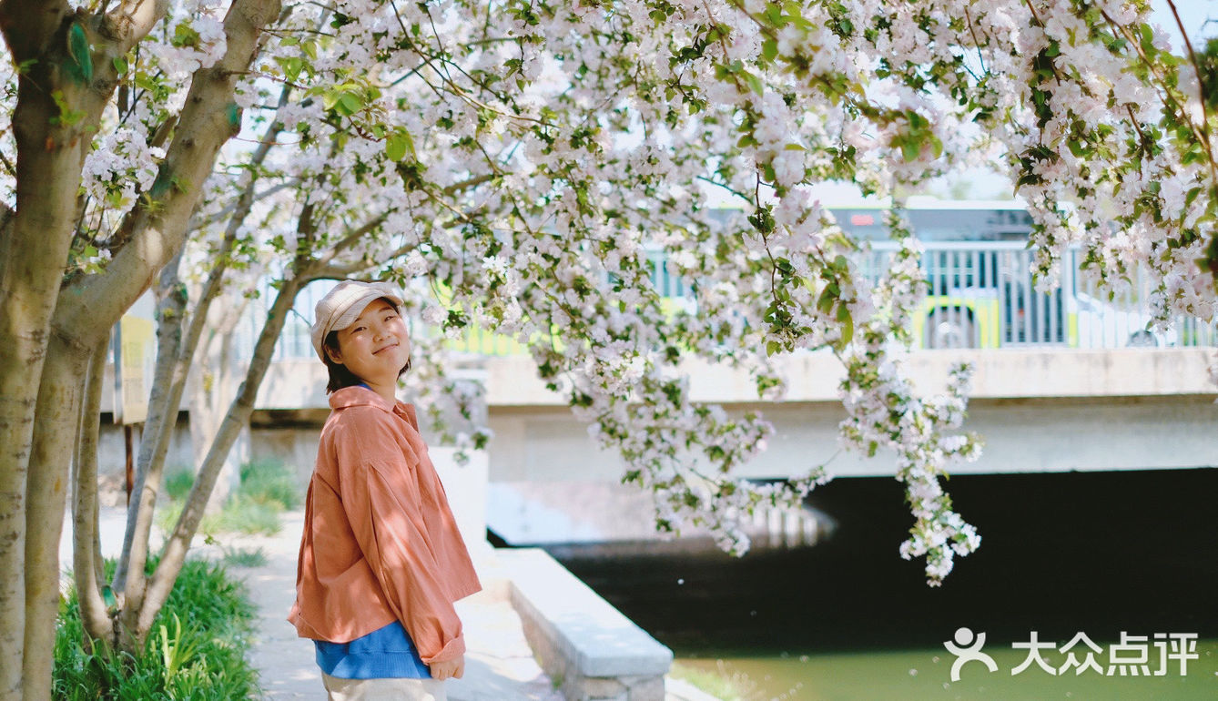 北京春日赏花秘境🌸日系海棠花溪‼️完爆元大都 