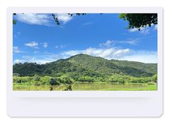 -风云岭森林公园