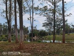 -呈贡滇池生态湿地公园