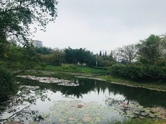 -白沙门生态公园