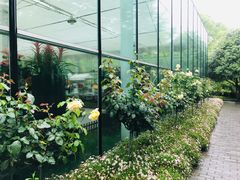 -上海鲜花港